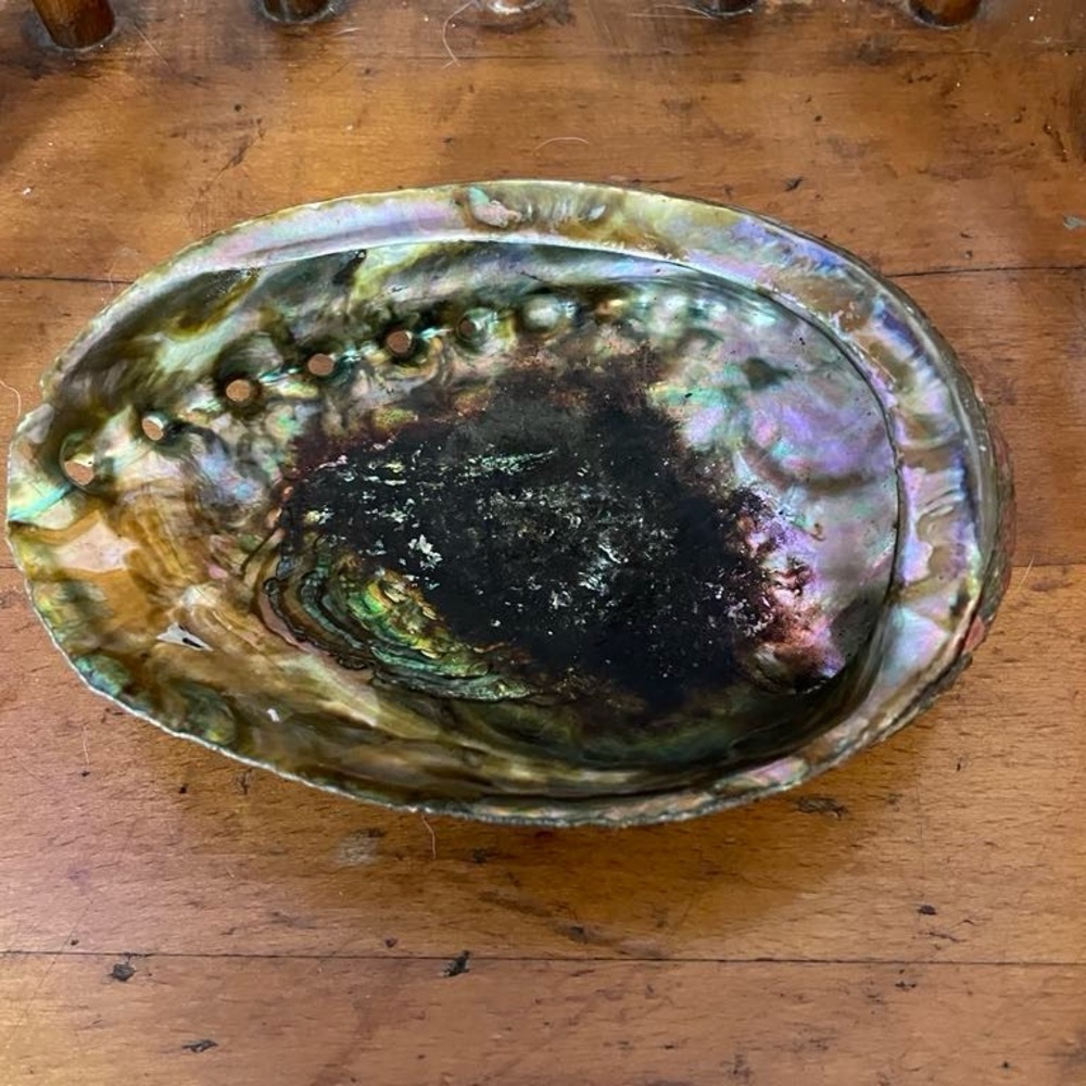 Abalone Shell Trinket Dish/Incense Holder